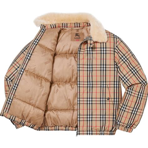 burberry jacket supreme